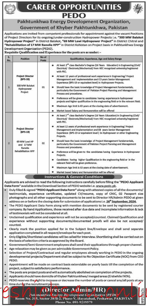 Pakhtunkhawa Energy Development Organization PEDO Opportunities 2024 Online Apply