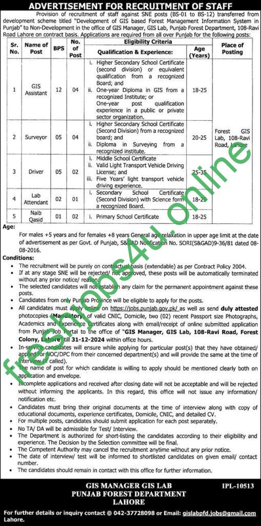 Punjab Forest Department Lahore Jobs 2024 Latest